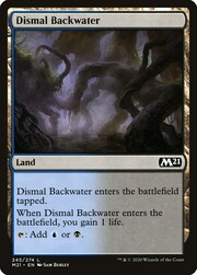 Dismal Backwater