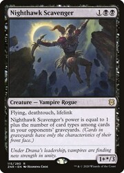 Nighthawk Scavenger