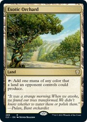 Exotic Orchard