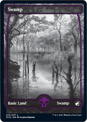 Swamp