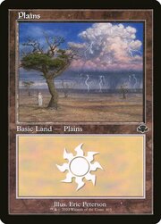 Plains