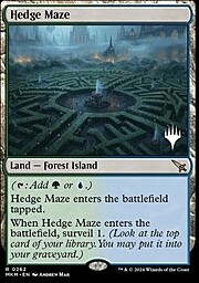 Hedge Maze