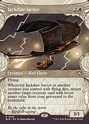 Jackdaw Savior