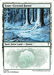 Snow-Covered Forest