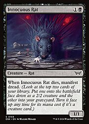 Innocuous Rat