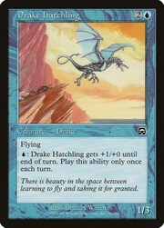 Drake Hatchling