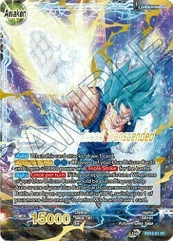 Vegito // SSB Vegito, Godhood Transcended Card Back