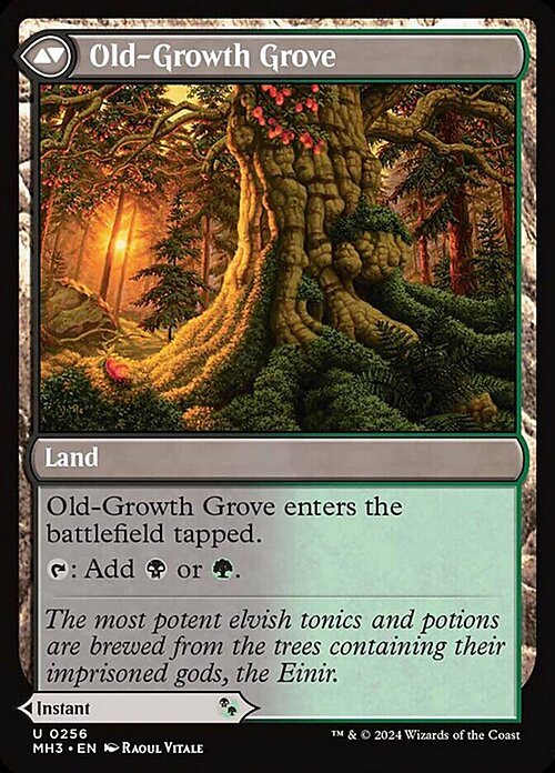 Revitalizing Repast // Old-Growth Grove Card Back