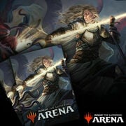 Arena Code