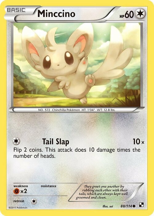 Minccino Card Front