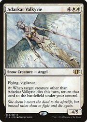 Adarkar Valkyrie