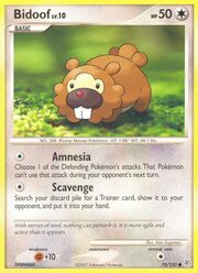 Bidoof Lv.10