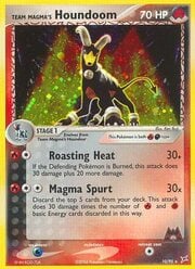 Team Magma's Houndoom