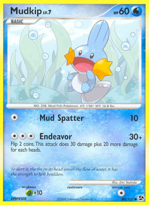 Mudkip Card Front