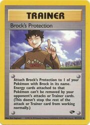 Brock's Protection