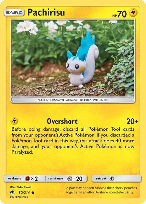 Pachirisu Card Front