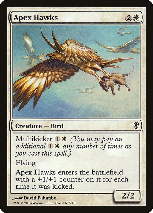 Apex Hawks Card Front