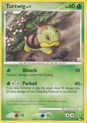 Turtwig Lv.7