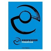 65 Buste Professor Program