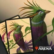 Arena Code