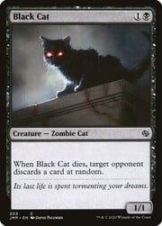 Black Cat