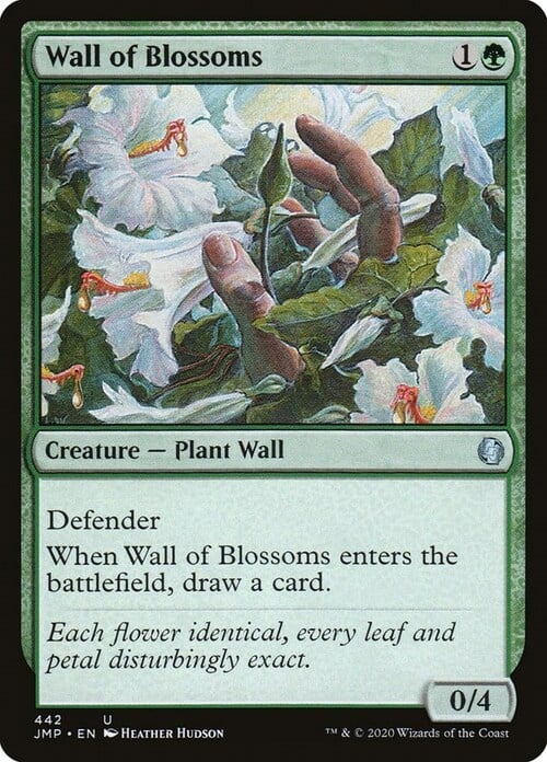 Wall of Blossoms Card Front