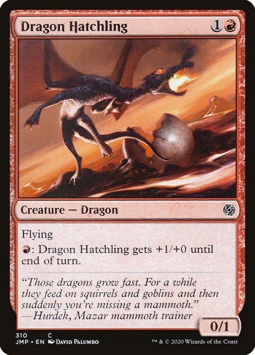 Dragon Hatchling Card Front