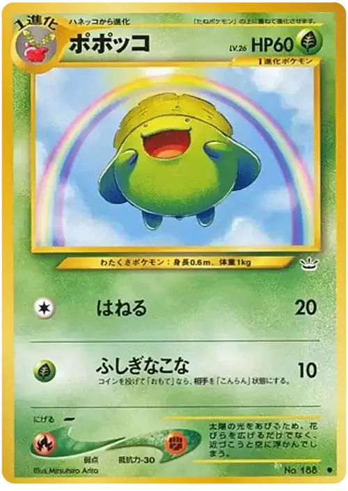 Skiploom Card Front