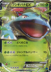 Venusaur EX