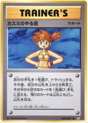 Misty's Determination