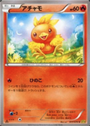 Torchic