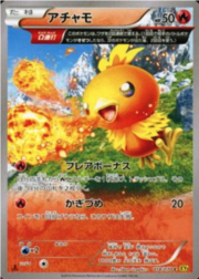 Torchic