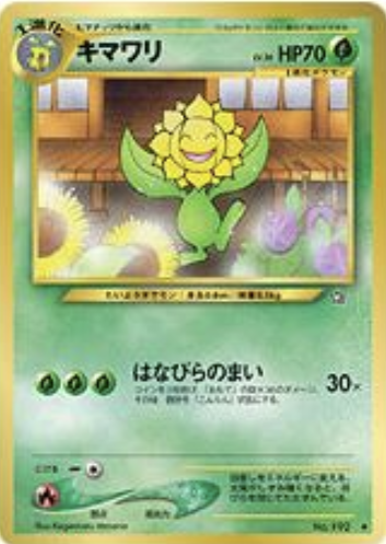 Sunflora Card Front