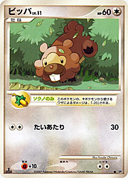 Bidoof Lv.11