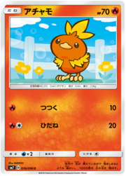 Torchic