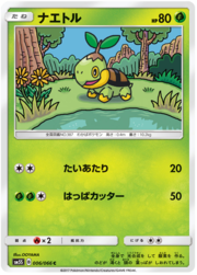 Turtwig