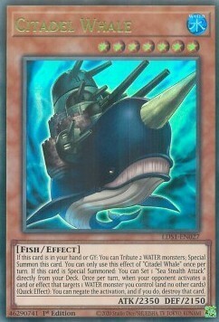 Citadel Whale Card Front