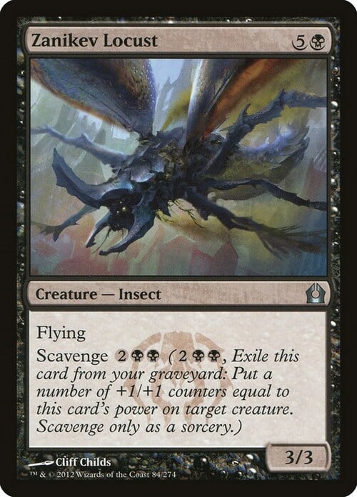 Zanikev Locust Card Front