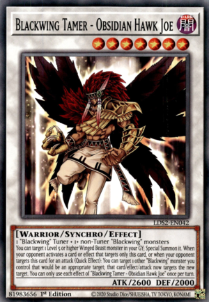 Blackwing Tamer - Obsidian Hawk Joe Card Front