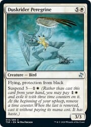 Duskrider Peregrine