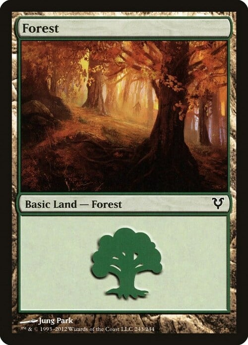 Forest Card Front