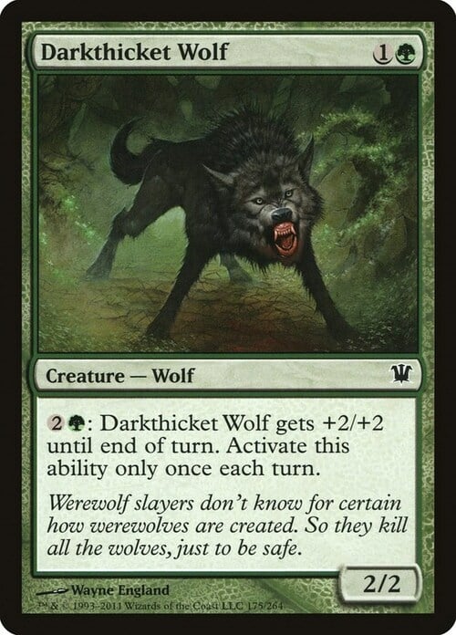 Darkthicket Wolf Card Front