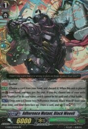 Adherence Mutant, Black Weevil