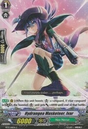 Hydrangea Musketeer, Ivar [G Format]