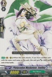 Platycodon Musketeer, Evelina