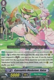 Gypsophila Musketeer, Raisa [G Format]