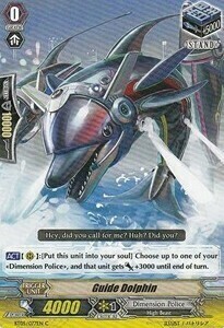 Guide Dolphin Card Front