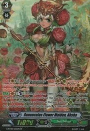 Ranunculus Flower Maiden, Ahsha