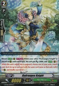 Hydrangea Knight Card Front