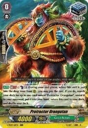 Protractor Orangutan